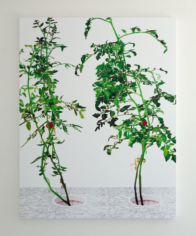 Alex Fischer, VII, 2014